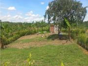 Venta de Lote en Parcelación en Betulia, Pereira