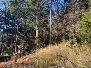 Venta de lote en PH con vista al lago