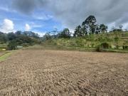 Venta de lote en unidad cerrada via san Antonio la ceja...