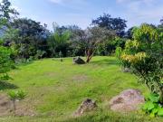 VENTA DE LOTE EN VENECIA SUROESTE DE ANTIOQUIA
