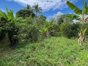 venta de Lote en vereda el Oriente, Andalucía, Valle del...