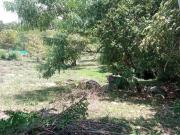 Venta de Lote en San Joaquin, La Mesa Cundinamarca