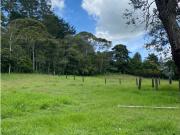 Venta de lote finca en Pontezuela