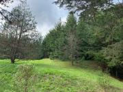 Venta de lote independiente 11.500m² en La Ceja Sin...