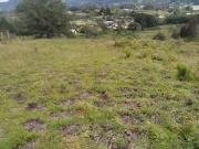 Venta de Lote Independiente en La Ceja, Sector el Capiro