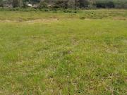 Venta de Lote Independiente en La Ceja, Sector el Capiro