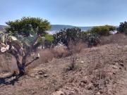 Venta de lote ó Terreno en Fracc. Praderas del Potrero...