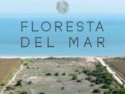 VENTA DE LOTES CONDOMINIO FLORESTA DEL MAR KM 214...