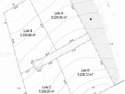 Venta de lotes de 5000 m2 industrial bodegaje y...