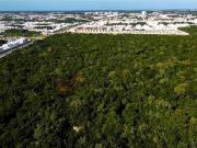Venta de lotes de terreno en breña solo Inversionistas....