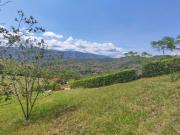 Venta de lotes desde 1500 M2 desde 165 mill en La Mesa...