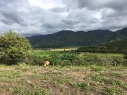 VENTA de LOTES en ALTAMIRA