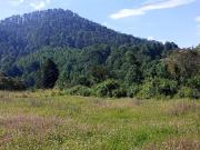 Venta de Lotes en Amanalco