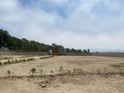 ¡VENTA DE LOTES EN BUJAMA DEL CAMPO – CON CLUB HOUSE!