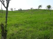 VENTA DE LOTES EN PARCELACION COMBIA