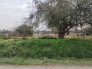 VENTA DE LOTES EN VIRREY DEL PINO CON ESCRITURAS