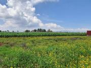 VENTA DE LOTES RESIDENCIALES EN PRIV. SAN ANDRES