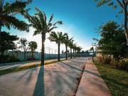 Venta de Lotes Residenciales listos para construir en la...