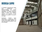 VENTA DE NAVE INDUSTRIAL IRAPUATO EX CARTONERA