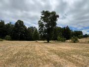 Venta de parcela 8.600 mts2 a 10 km de Villarrica