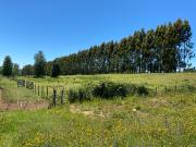 VENTA DE PARCELA AGRICOLA EN LAUTARO 5000 MTRS2 TEMUCO