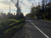 VENTA DE PARCELA DE 8.000M2 EN PAINE