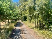 Venta de Parcela en Comuna de Cunco, Ruta S 61