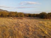 Venta de parcela en Condominio Pilares Verdes – Las...