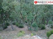 VENTA de parcela en LLORET en SERRA BRAVA