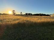 Venta de Parcela en Rancho Lomas Verdes – Puerto Varas