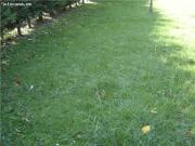 Venta de Parcela en Valle de Mena