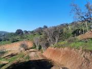 Venta de parcela en Villa Alemana, 5.000 m2