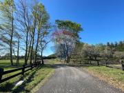 Venta de Parcela en Villarrica