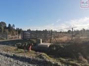 Venta de parcela Puerto Varas colonia tres puentes