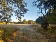 Venta de Parcela, Sector los Copihues Villarrica