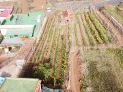 VENTA DE PARCELA URBANA EN LA MATANZA