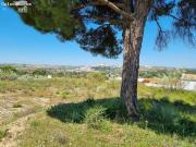 VENTA DE PARCELA ZONA EL ROMERAL