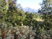 Venta de Parcelas en Las Palmas, Quebrada Alvarado, Alto... Venta de Parcelas en Las Palmas, Quebrada Alvarado, Alto...