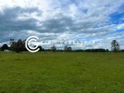 VENTA DE PARCELAS EN SECTOR PICHIDAMAS OSORNO