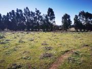 Venta de Preciosa Parcela con Excelente Vista, Acceso...