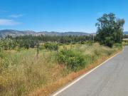 Venta de propiedad Marchigue[21 hectáreas] Sector...