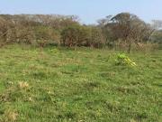 VENTA DE RANCHO DE 8 HECTÁREAS EN MISANTLA