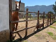VENTA DE RANCHO EN ZACATLAN TOMATLAN