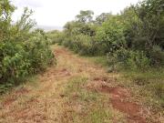 VENTA DE RANCHO TIERRA ROJA VENTA DE RANCHO TIERRA ROJA