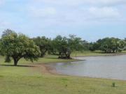 Venta de rancho ubicado en coronel traconis cerca del...