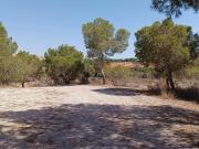 VENTA DE SOLAR EN ALTORREAL