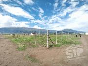 VENTA DE TERRENO 1,256 MTS SAN ANTONIO DE LAS ALAZANAS