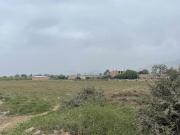 VENTA DE TERRENO 20 MIL M2 EN BUJAMA PROV. CAÑETE