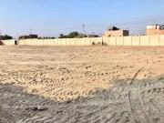 Venta de Terreno 3,700 m² Sunampe Chincha Alta