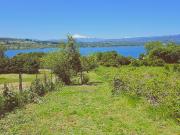Venta de Terreno 5000 M2 rol propio Vista, Lago...